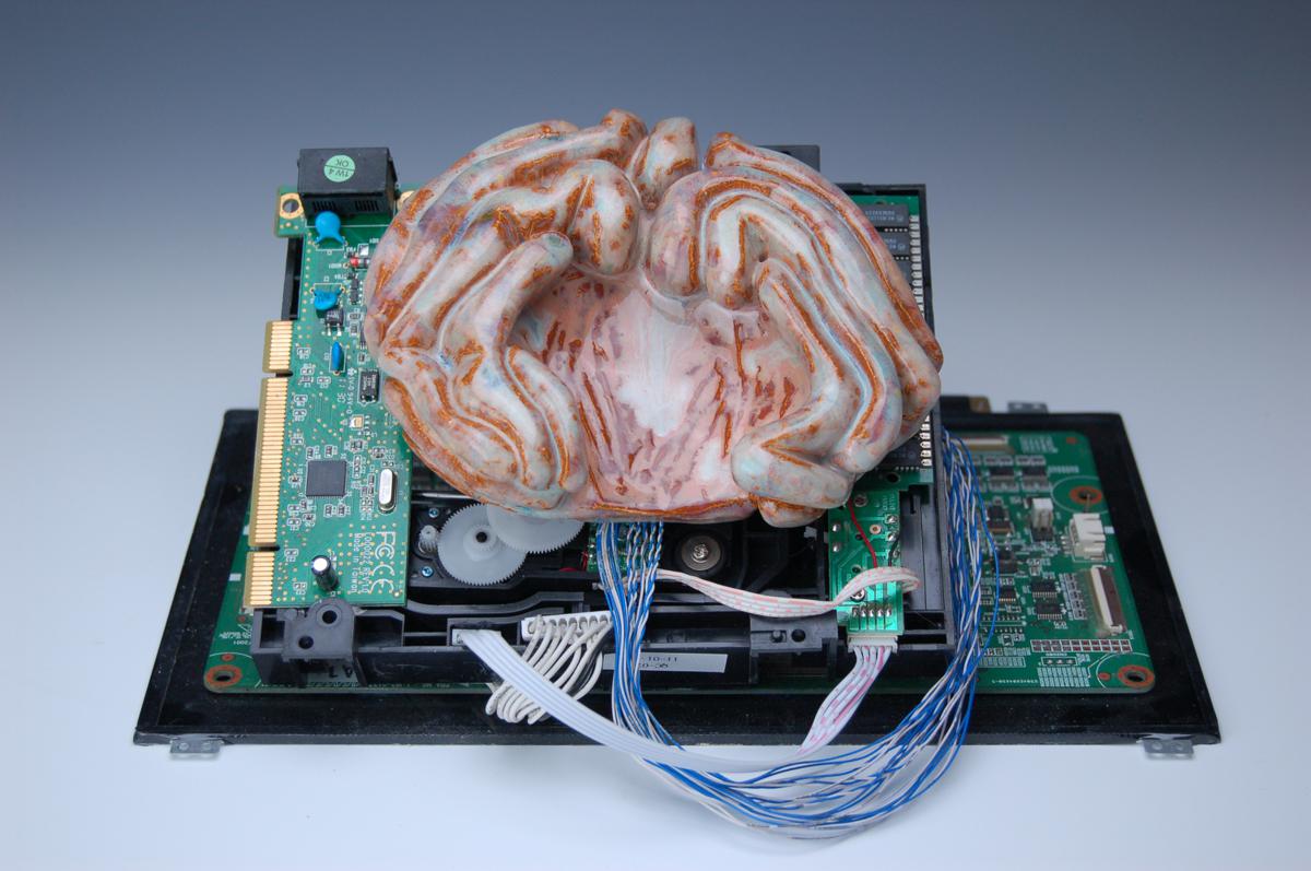 Brain