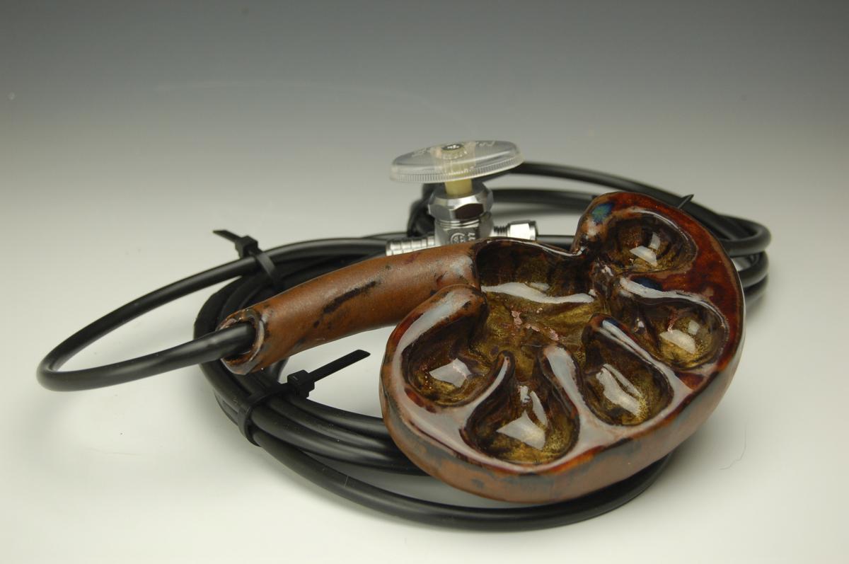 Kidney